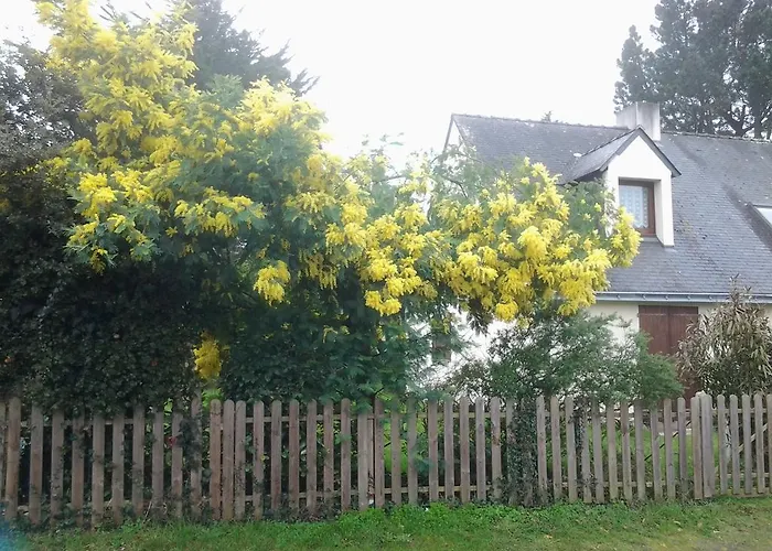 Jervl 皮里亚克叙尔梅尔