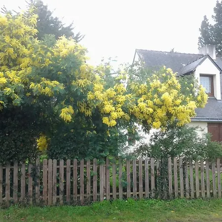 Jervl Piriac-sur-Mer